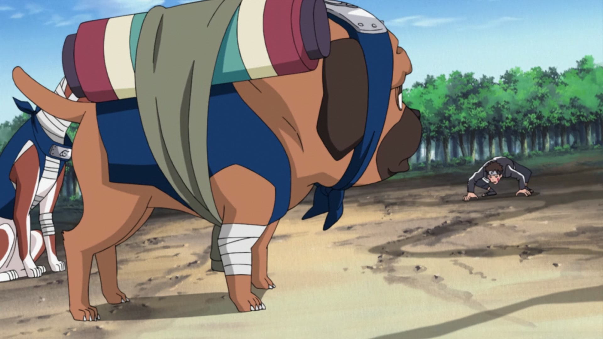 Naruto: Shippuden Ep 240: Kiba's Determination @ 00:15:44