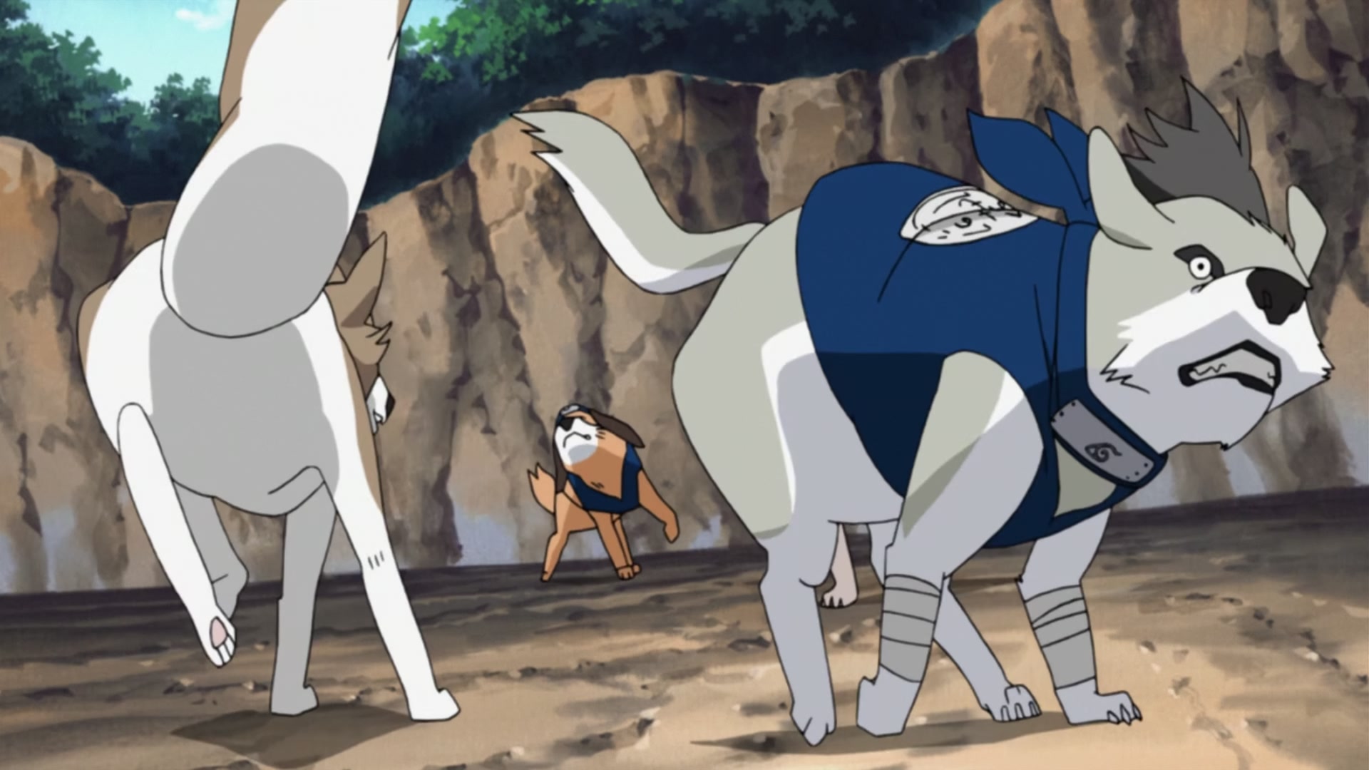 Naruto: Shippuden Ep 240: Kiba's Determination @ 00:16:12