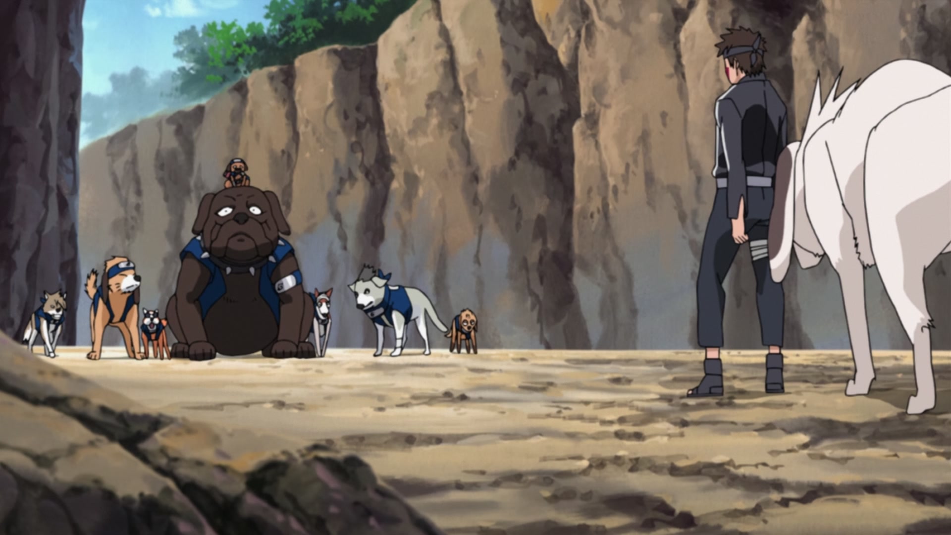 Naruto: Shippuden Ep 240: Kiba's Determination @ 00:16:36