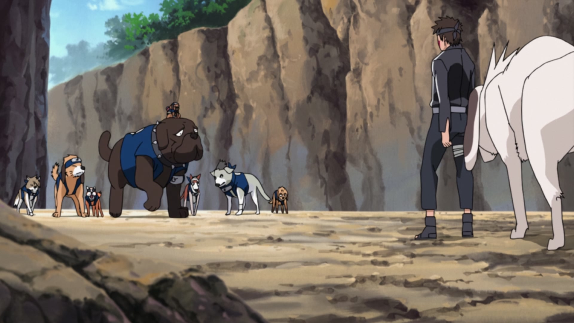 Naruto: Shippuden Ep 240: Kiba's Determination @ 00:16:41