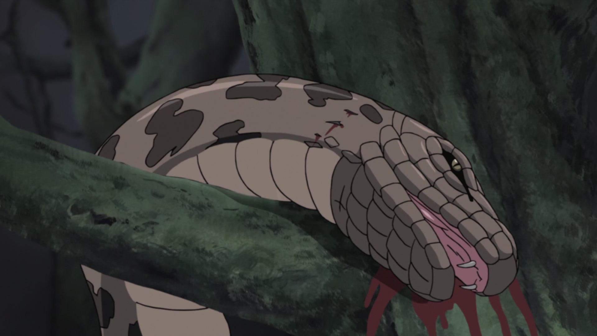 Naruto: Shippuden Ep 258: Rivals @ 00:05:46