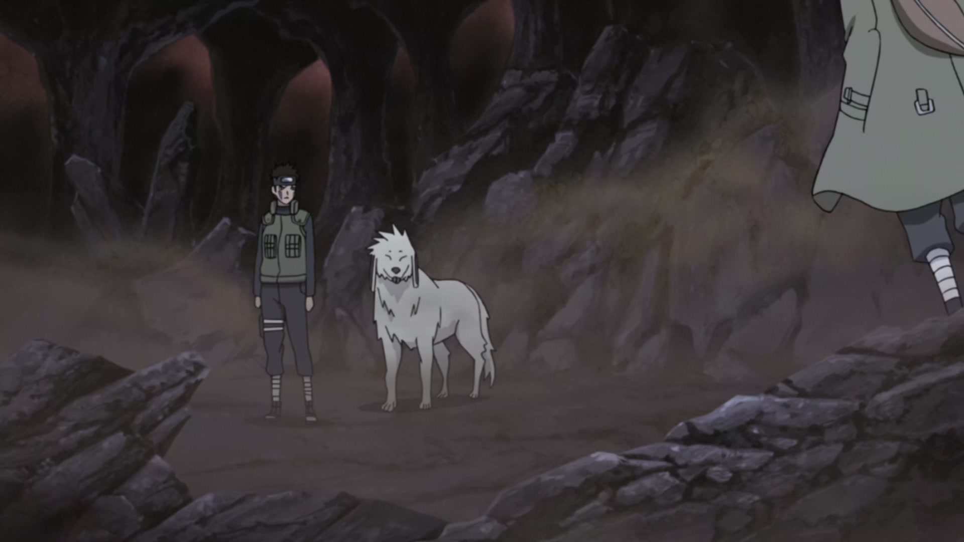 Naruto: Shippuden Ep 279: White Zetsu's Trap @ 00:05:07
