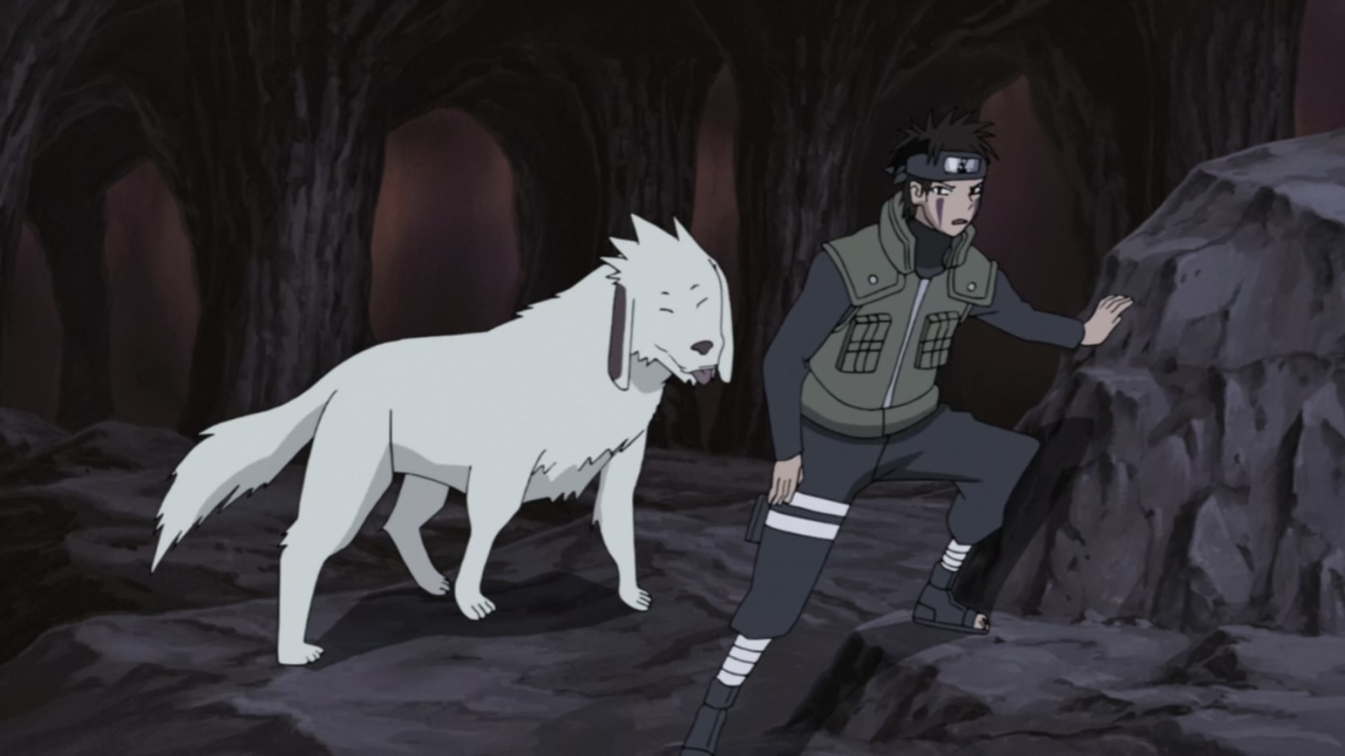 Naruto: Shippuden Ep 279: White Zetsu's Trap @ 00:09:03