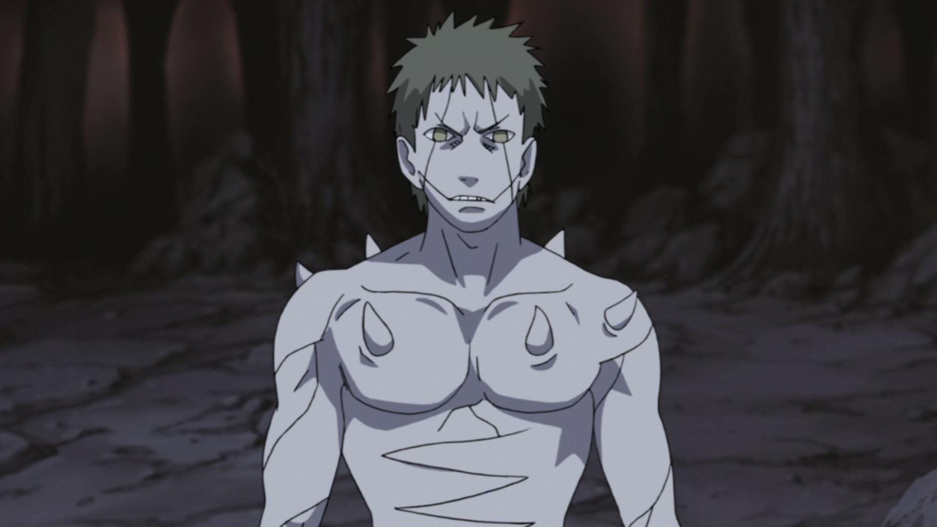Naruto: Shippuden Ep 279: White Zetsu's Trap @ 00:18:36