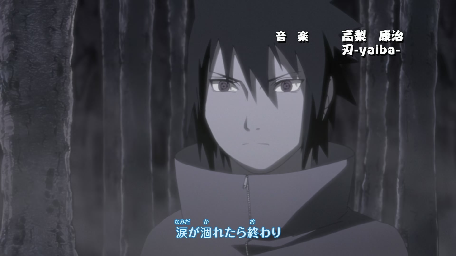 Naruto: Shippuden Ep 335: To Each Their Own Leaf @ 00:04:05