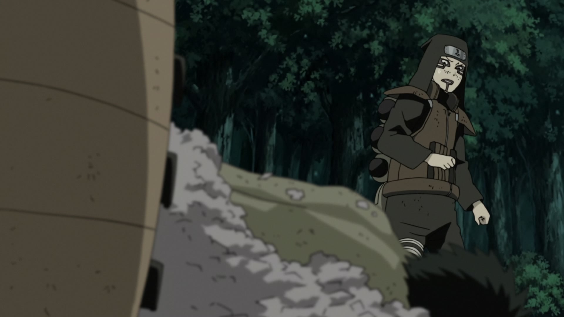 Naruto: Shippuden Ep 340: Reanimation Jutsu: Release @ 00:04:38