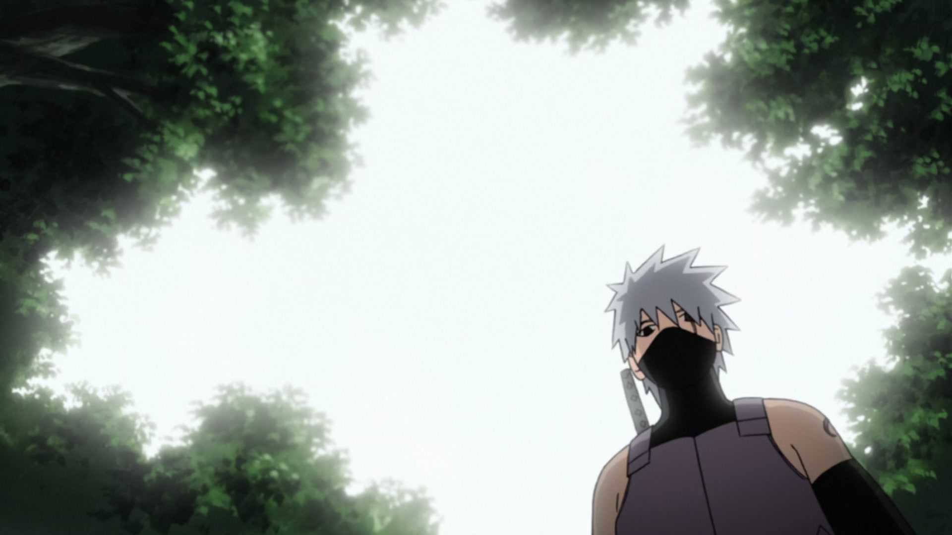 Naruto: Shippuden Ep 353: Orochimaru's Test Subject @ 00:17:41