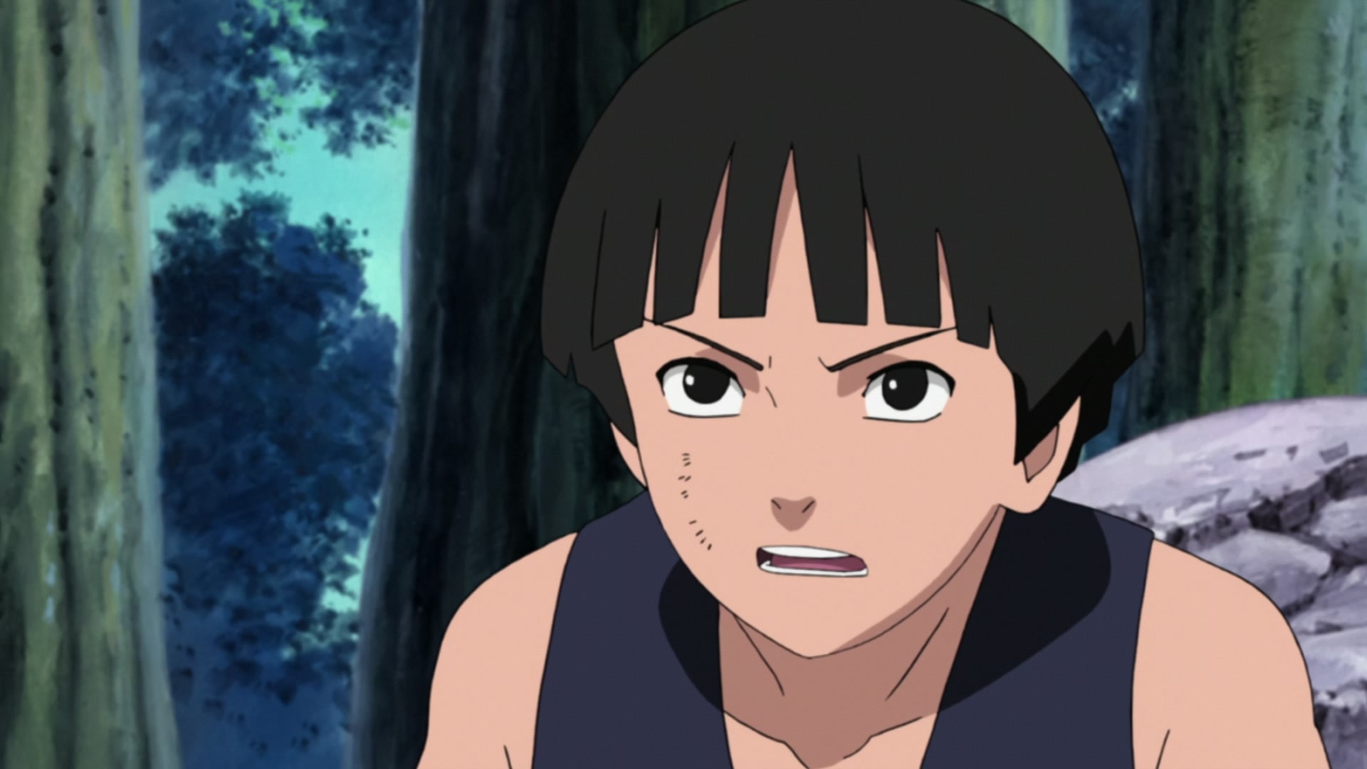 Naruto: Shippuden Ep 367: Hashirama and Madara @ 00:14:20
