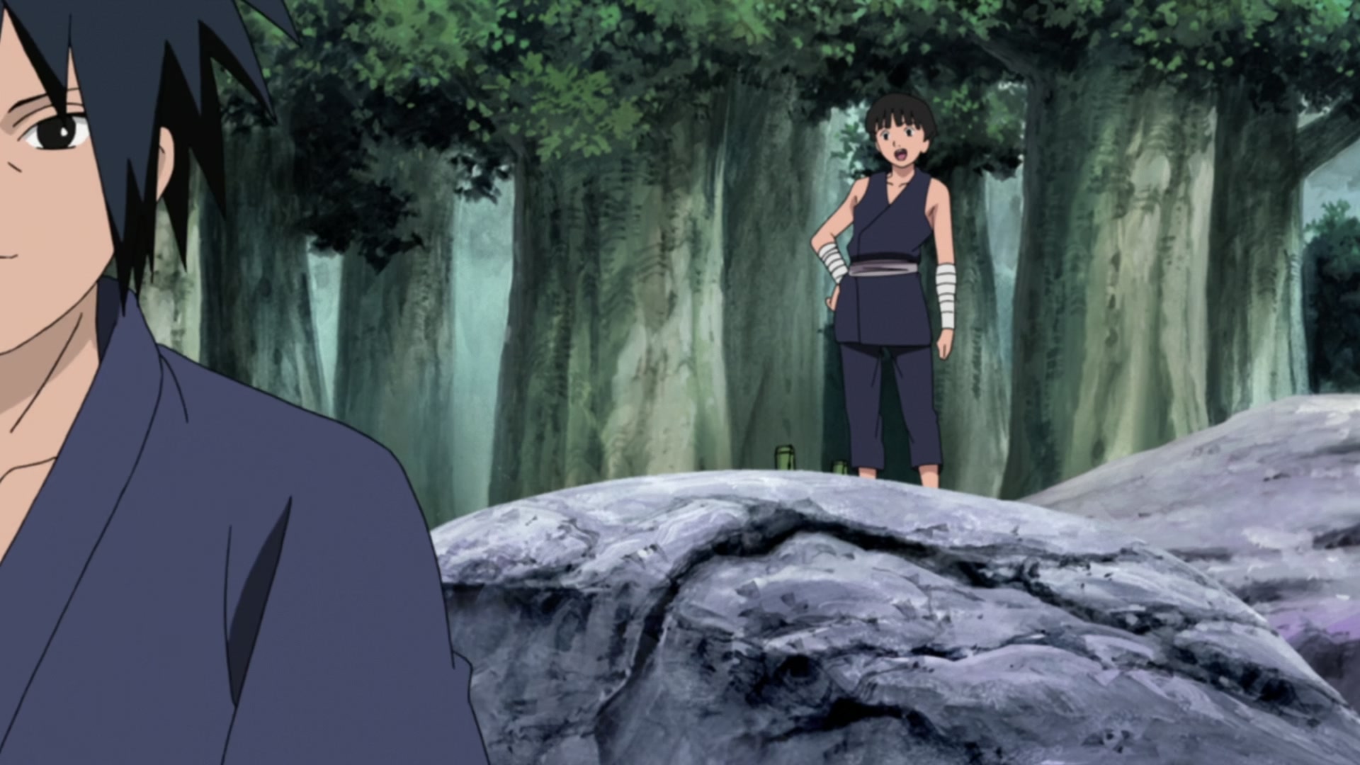 Naruto: Shippuden Ep 367: Hashirama and Madara @ 00:14:34