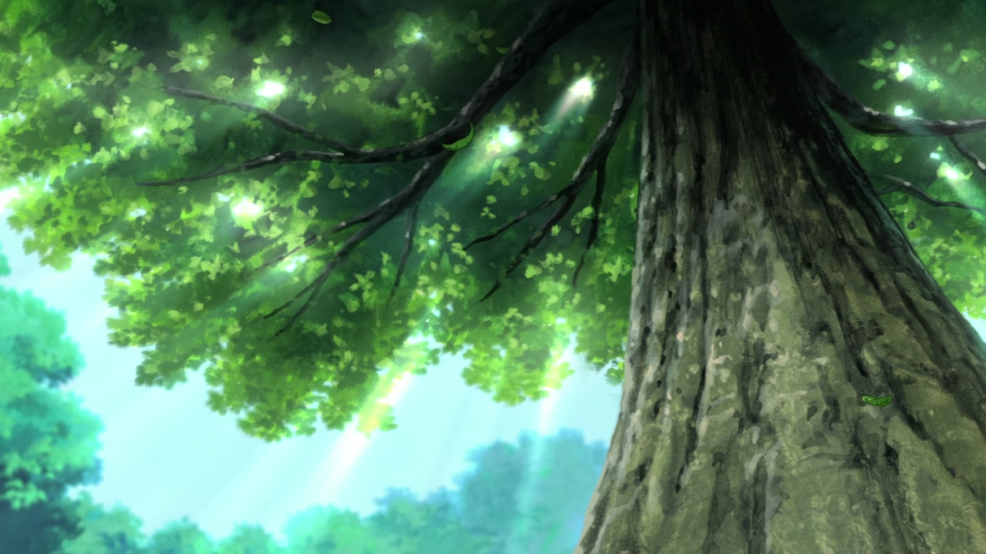 Naruto: Shippuden Ep 367: Hashirama and Madara @ 00:15:08