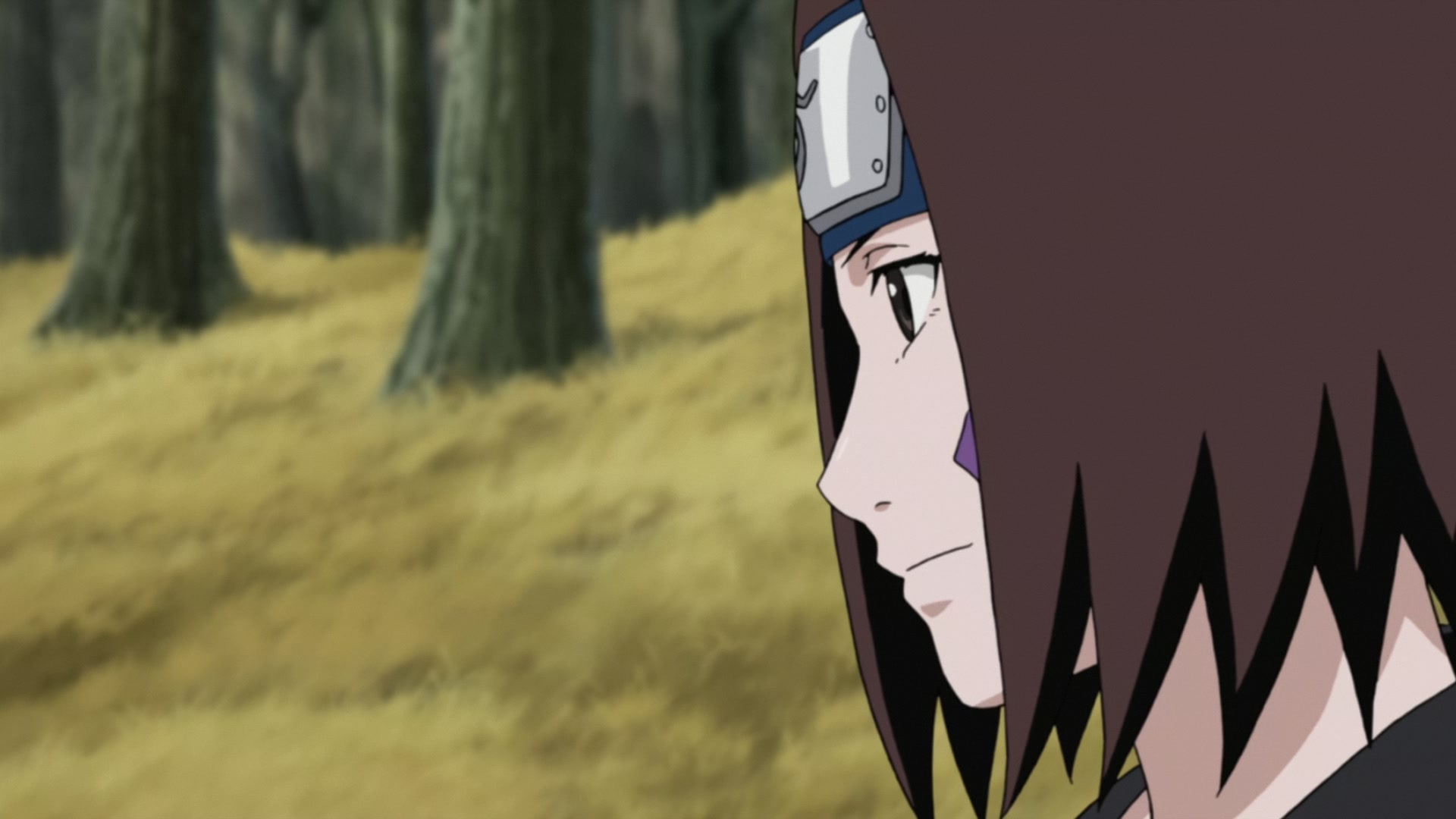 Naruto: Shippuden Ep 386: I'm Always Watching @ 00:17:32