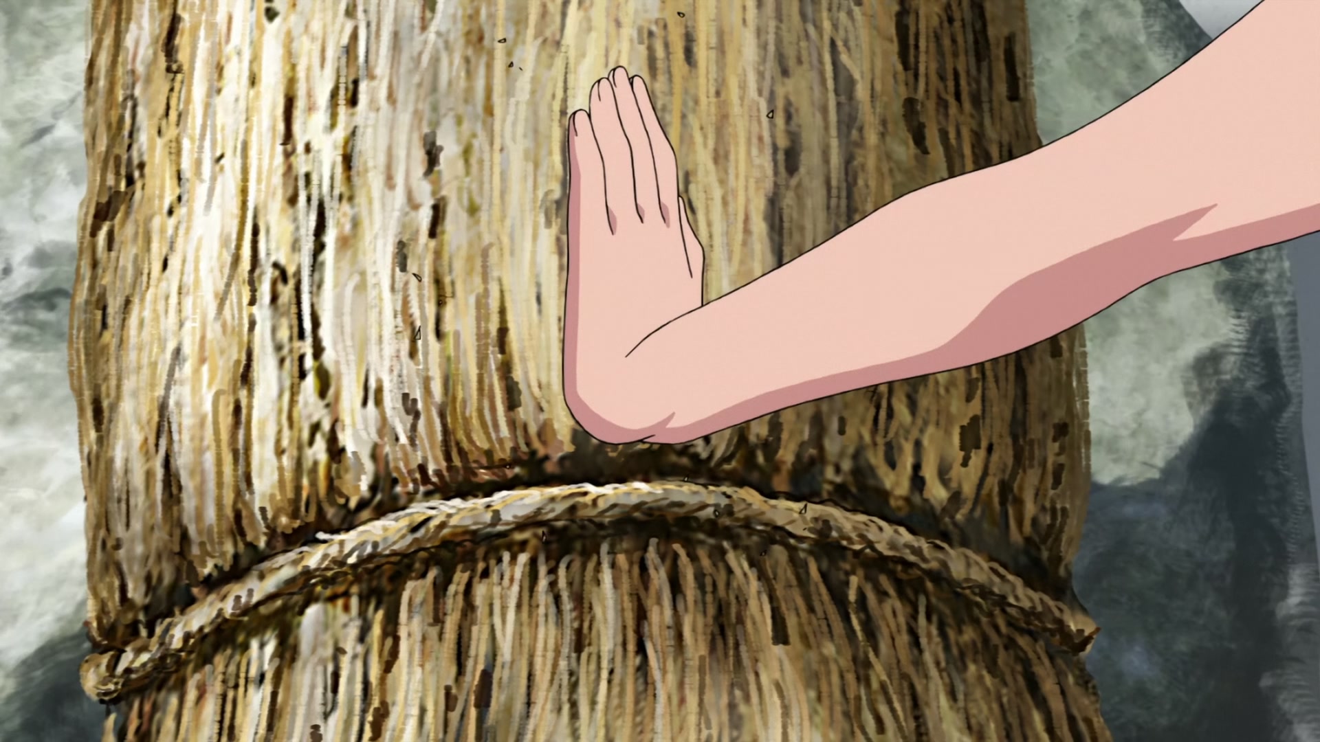 Naruto: Shippuden Ep 390: Hanabi's Decision @ 00:03:09