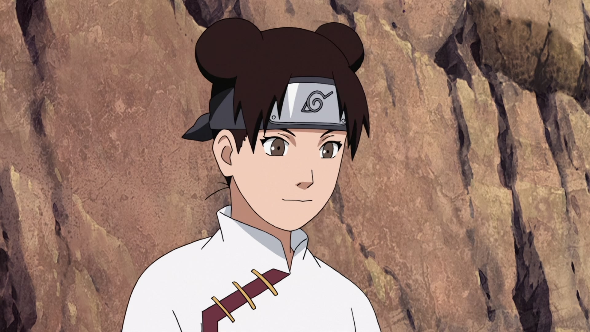 Naruto: Shippuden Ep 405: The Imprisoned Pair @ 00:15:54