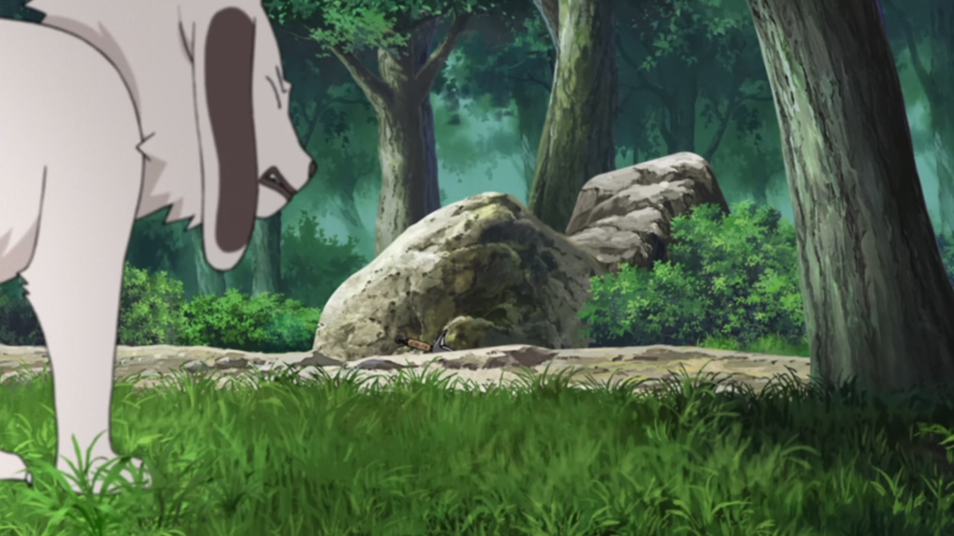 Naruto: Shippuden Ep 433: The Search Mission @ 00:09:36