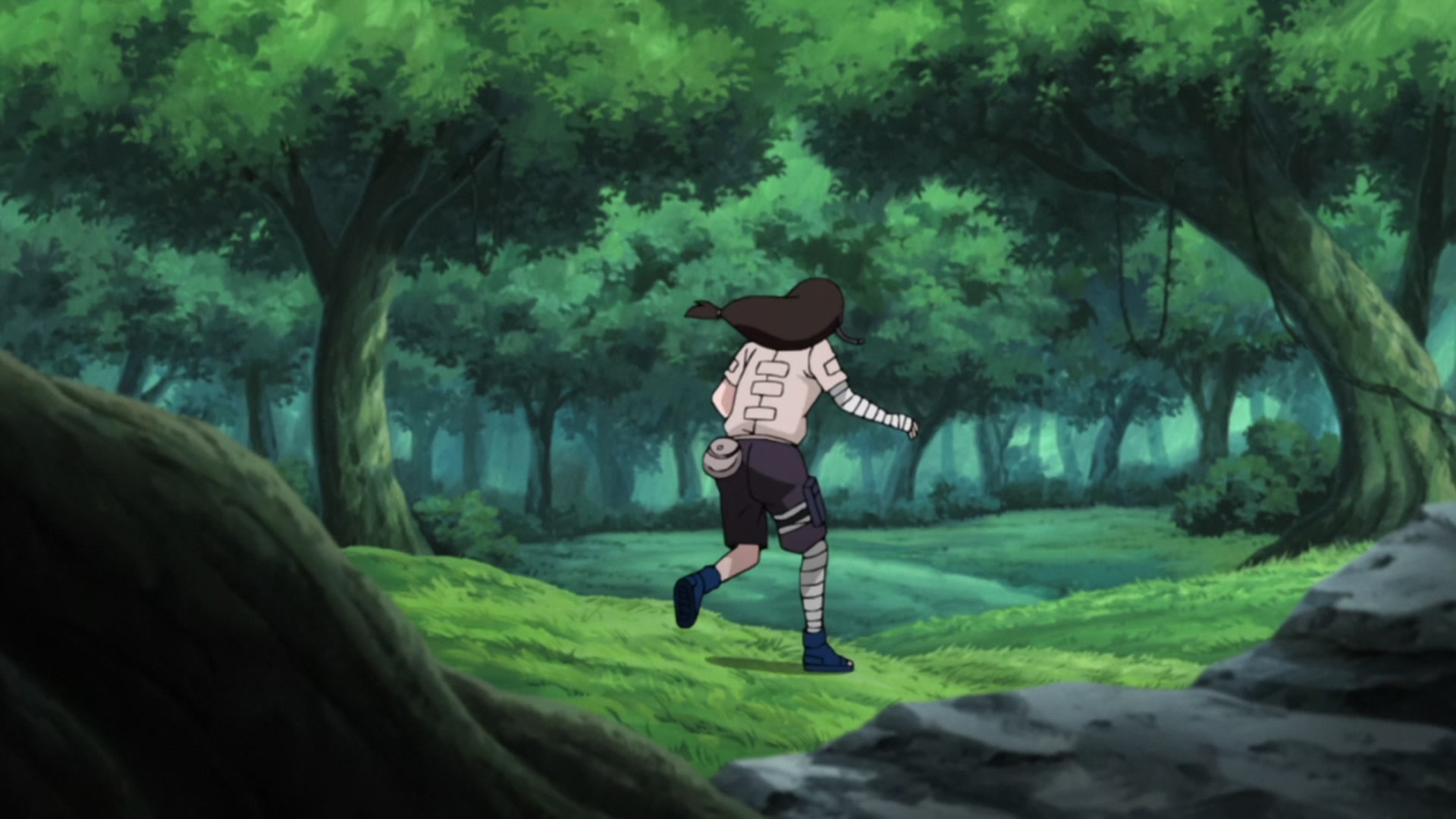 Naruto: Shippuden Ep 433: The Search Mission @ 00:10:42