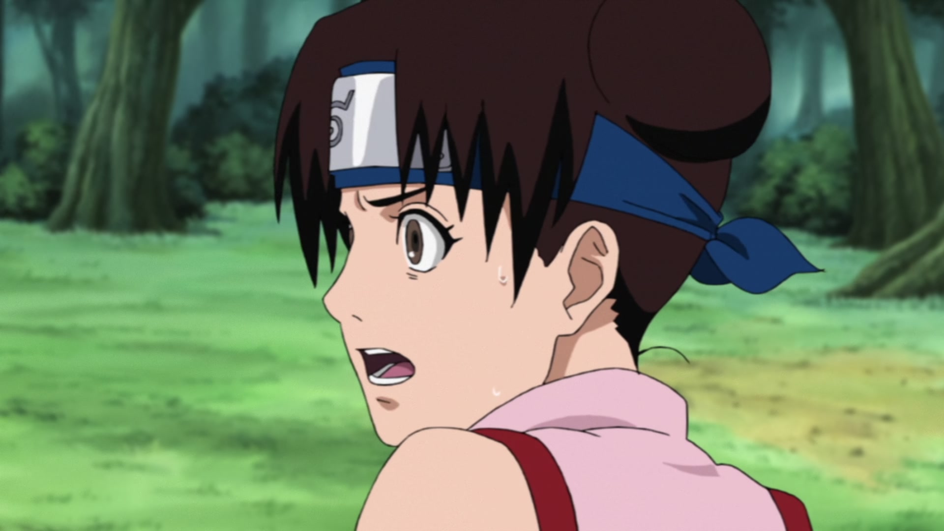 Naruto: Shippuden Ep 433: The Search Mission @ 00:11:01