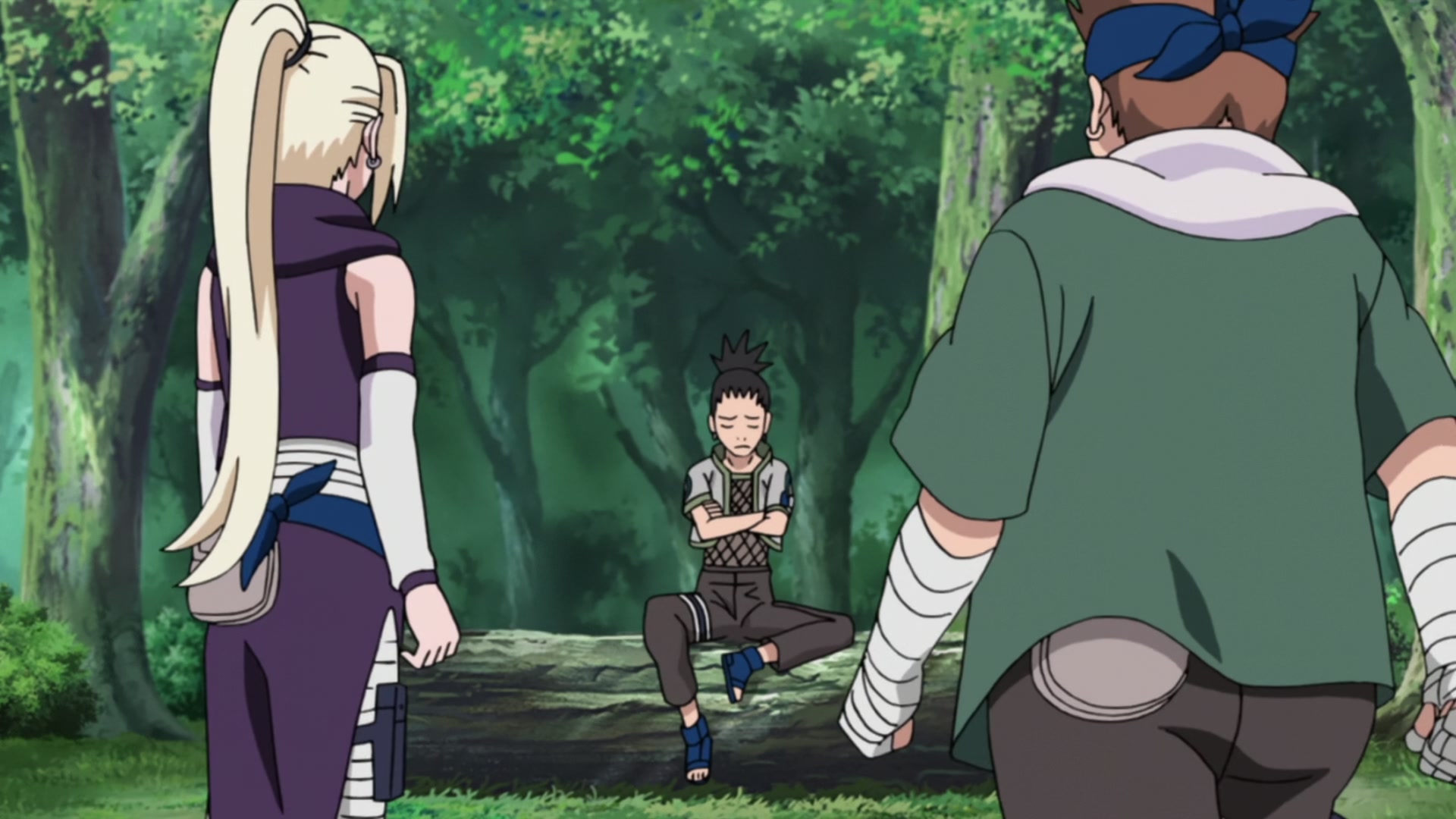 Naruto: Shippuden Ep 433: The Search Mission @ 00:12:16