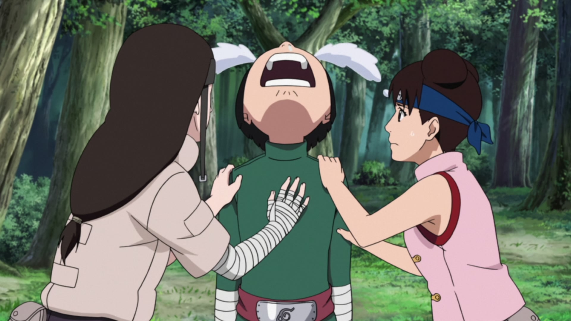 Naruto: Shippuden Ep 433: The Search Mission @ 00:14:38