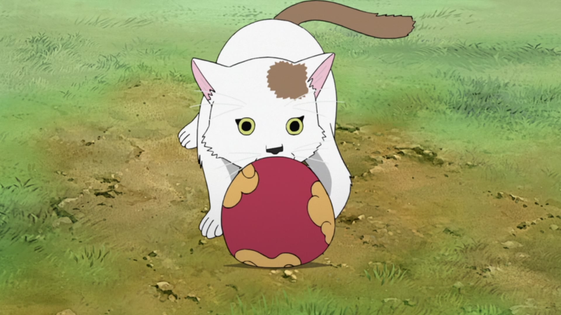 Naruto: Shippuden Ep 438: The Rules or a Comrade @ 00:08:25