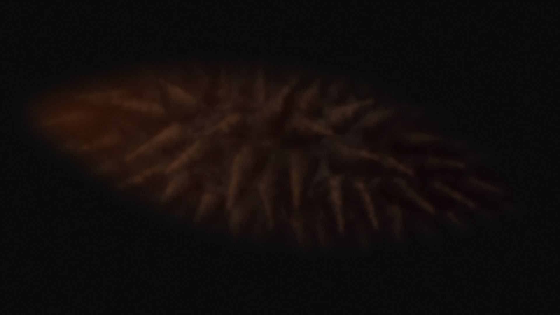 Naruto: Shippuden Ep 448: Comrade @ 00:19:29
