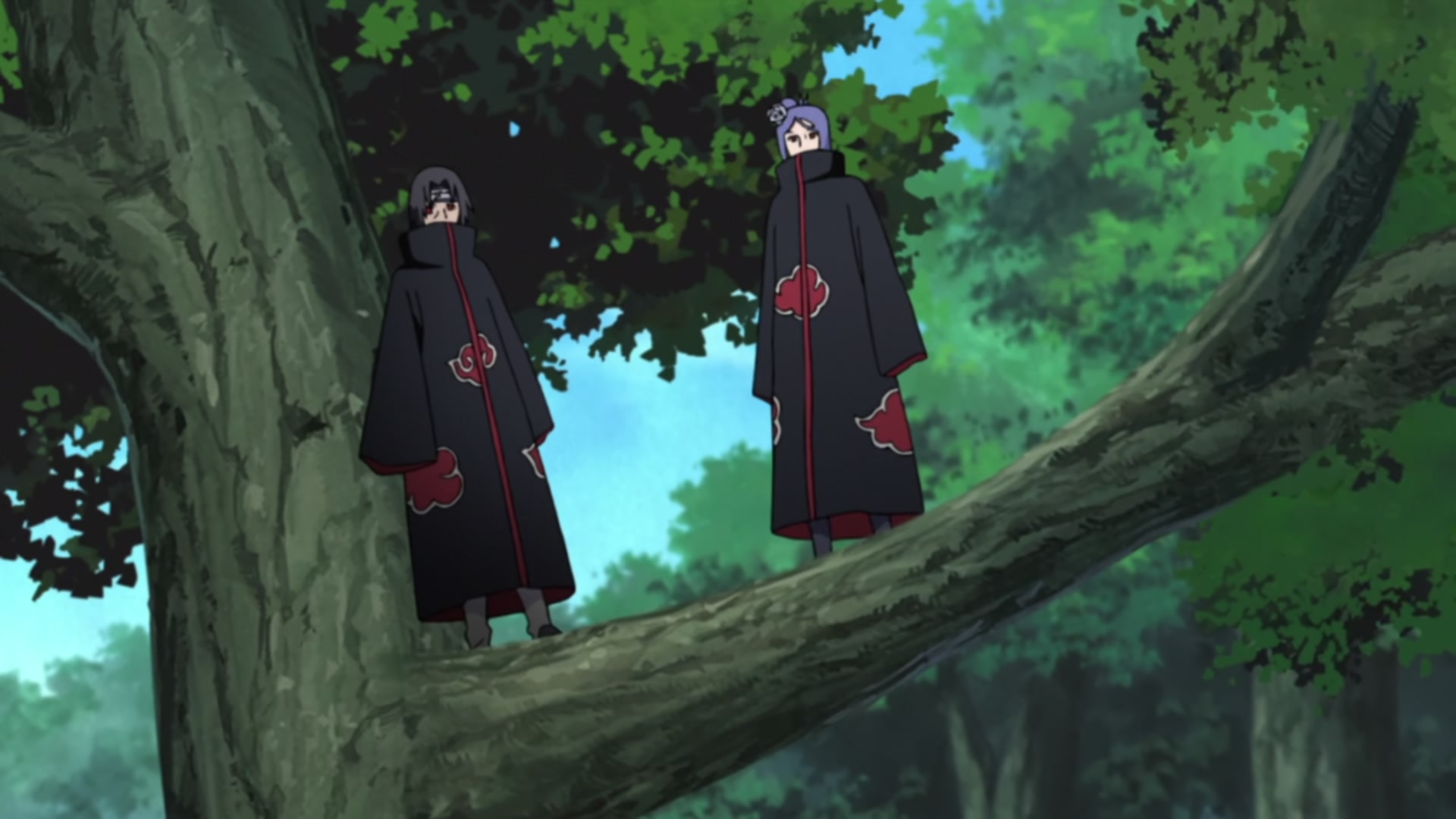 Naruto: Shippuden Ep 457: Partner @ 00:16:59