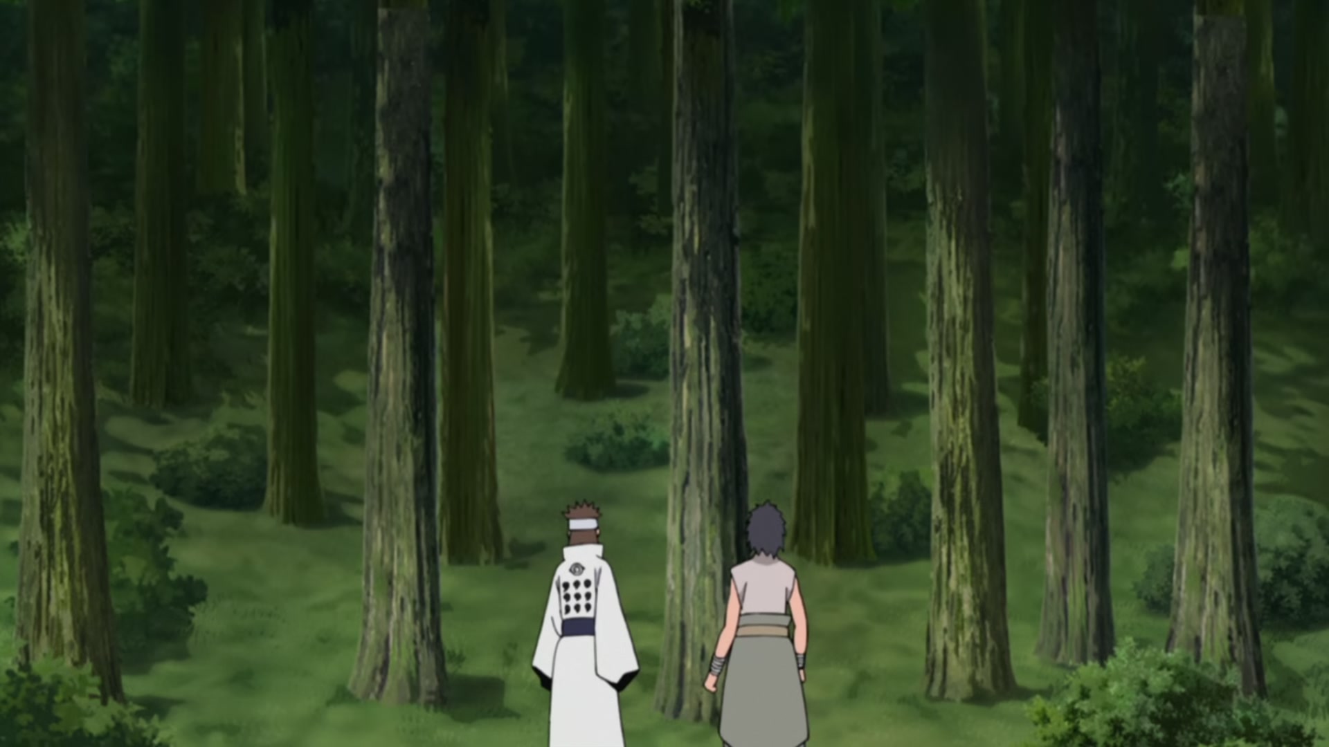 Naruto: Shippuden Ep 466: The Tumultuous Journey @ 00:02:21