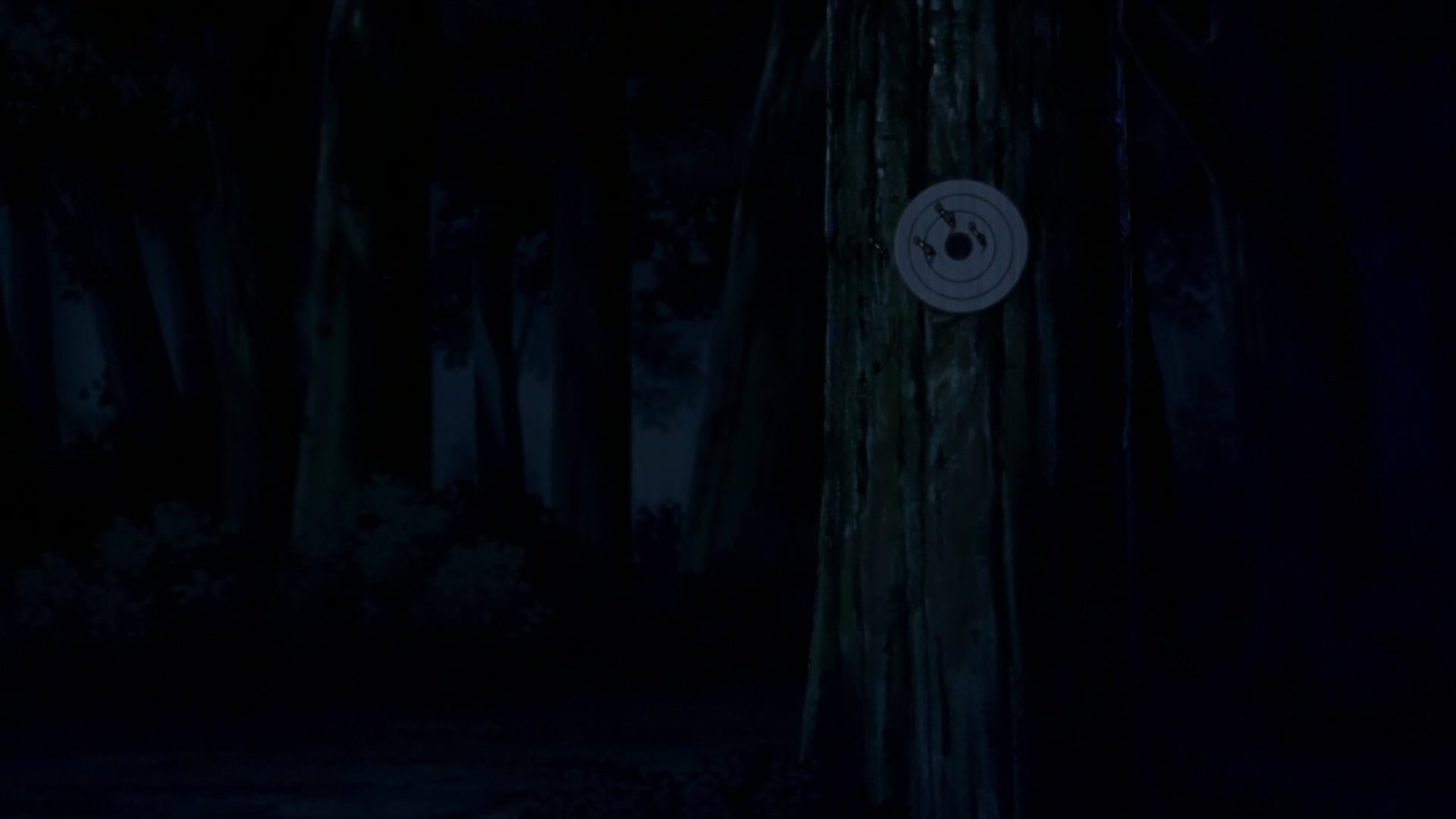 Naruto: Shippuden Ep 489: The State of Affairs @ 00:06:03