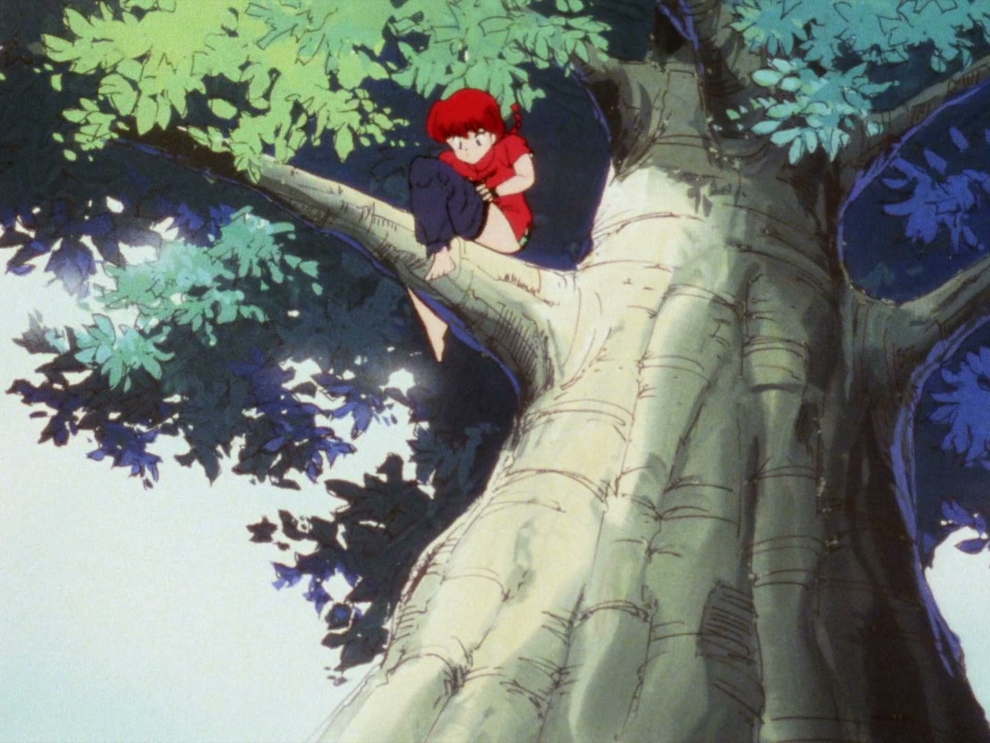 Ranma ½ Ep 3: A Sudden Storm of Love @ 00:06:07