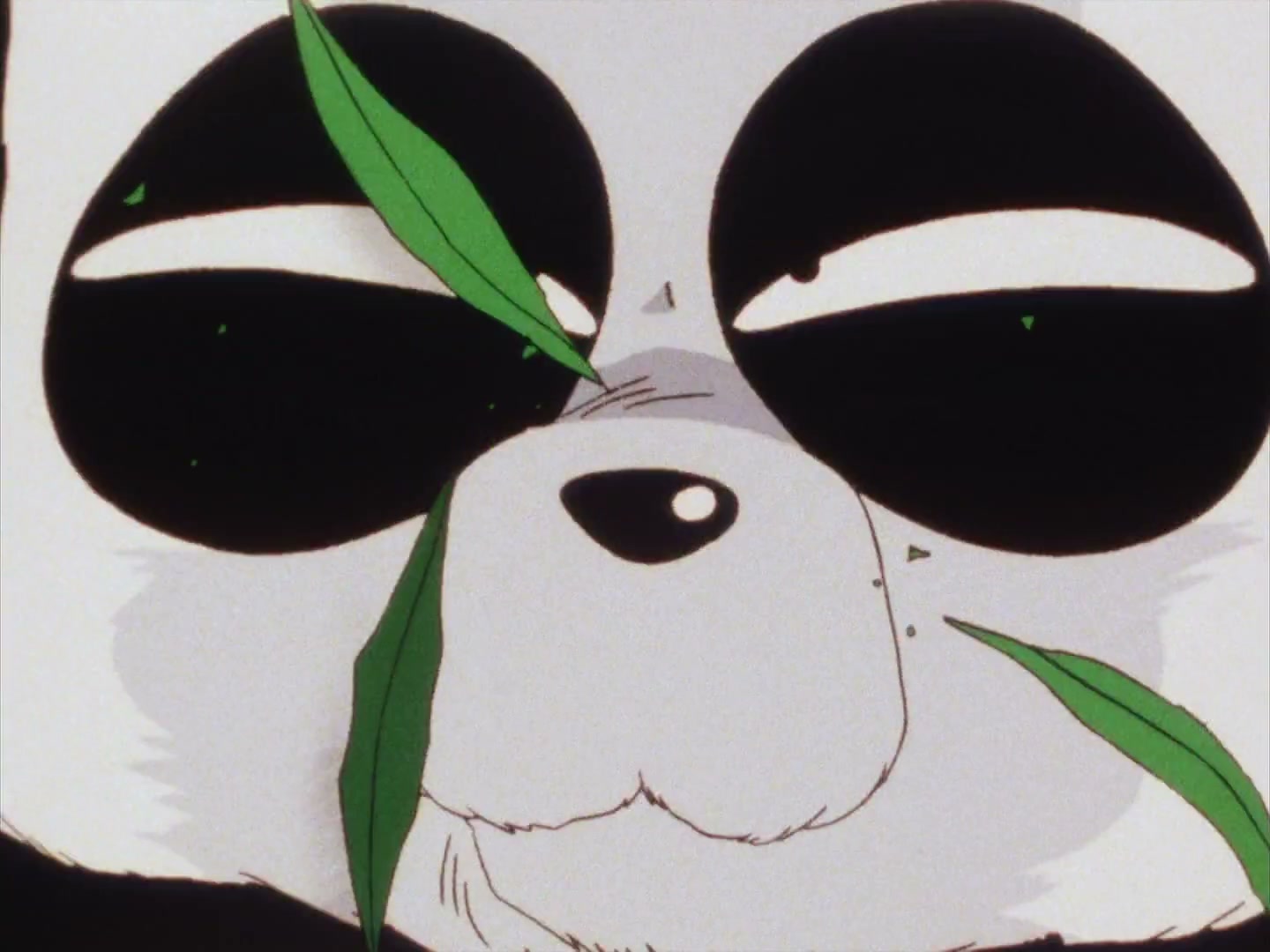 Ranma ½ Ep 10: P-chan, Akane's Cute Little Pig @ 00:02:45