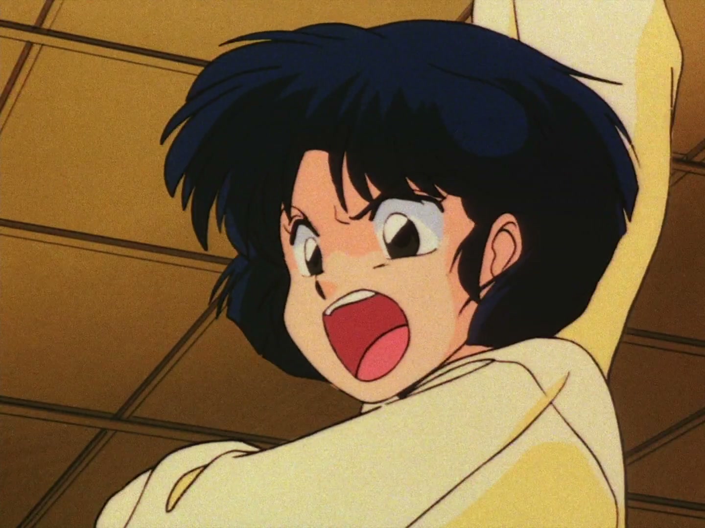 Ranma ½ Ep 19: The Abduction of P-Chan @ 00:01:38