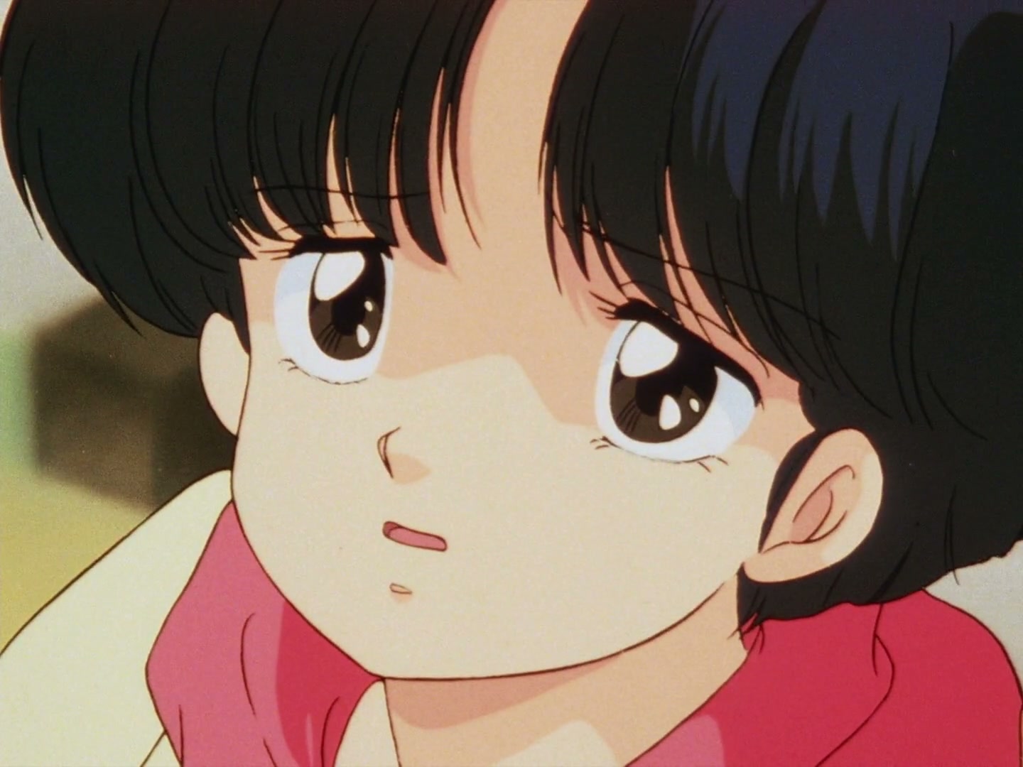Ranma ½ Ep 19: The Abduction of P-Chan @ 00:04:43