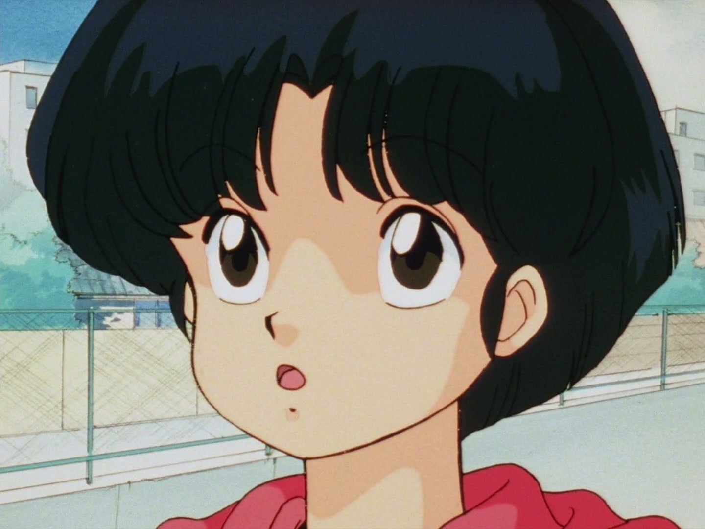Ranma ½ Ep 19: The Abduction of P-Chan @ 00:09:47