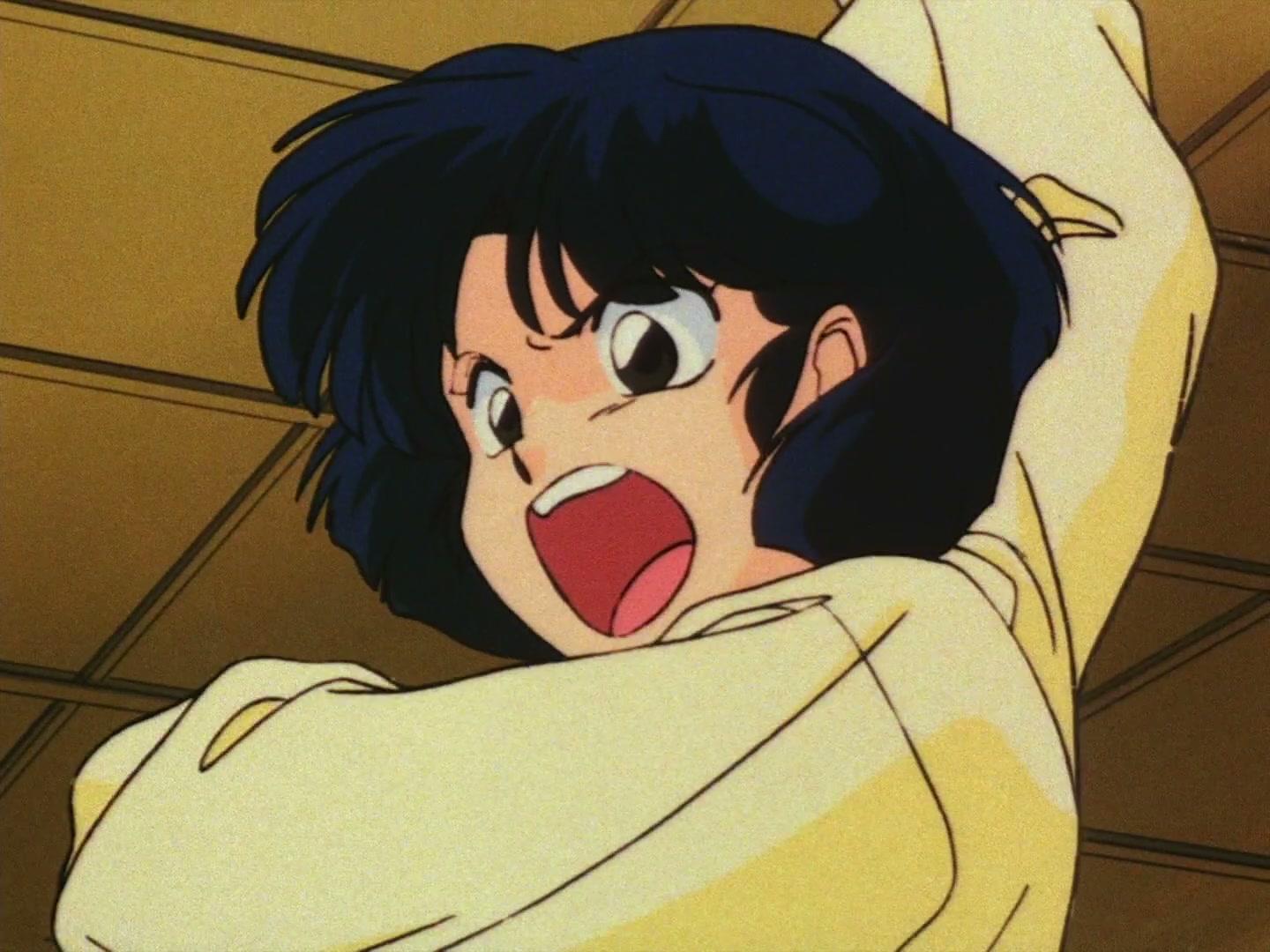 Ranma ½ Ep 21: P-Chan Explodes! The Icy Fountain of Love! @ 00:01:38