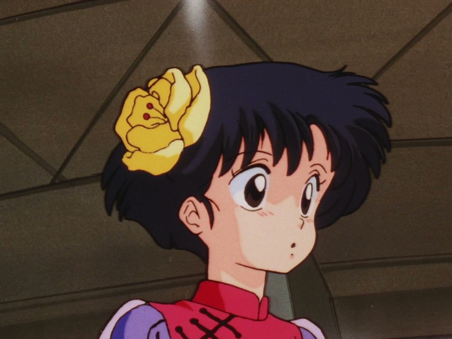 Ranma ½ Ep 21: P-Chan Explodes! The Icy Fountain of Love! @ 00:02:22