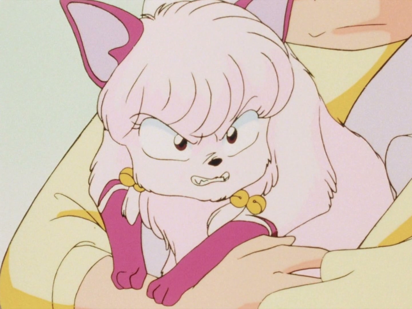 Ranma ½ Ep 23: You Really Do Hate Cats! @ 00:03:49