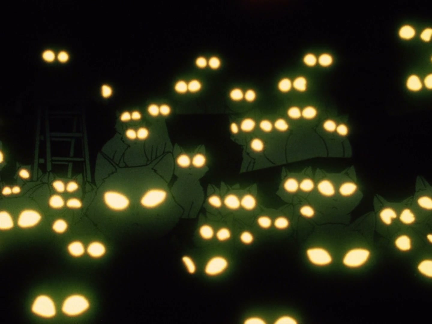 Ranma ½ Ep 23: You Really Do Hate Cats! @ 00:10:26