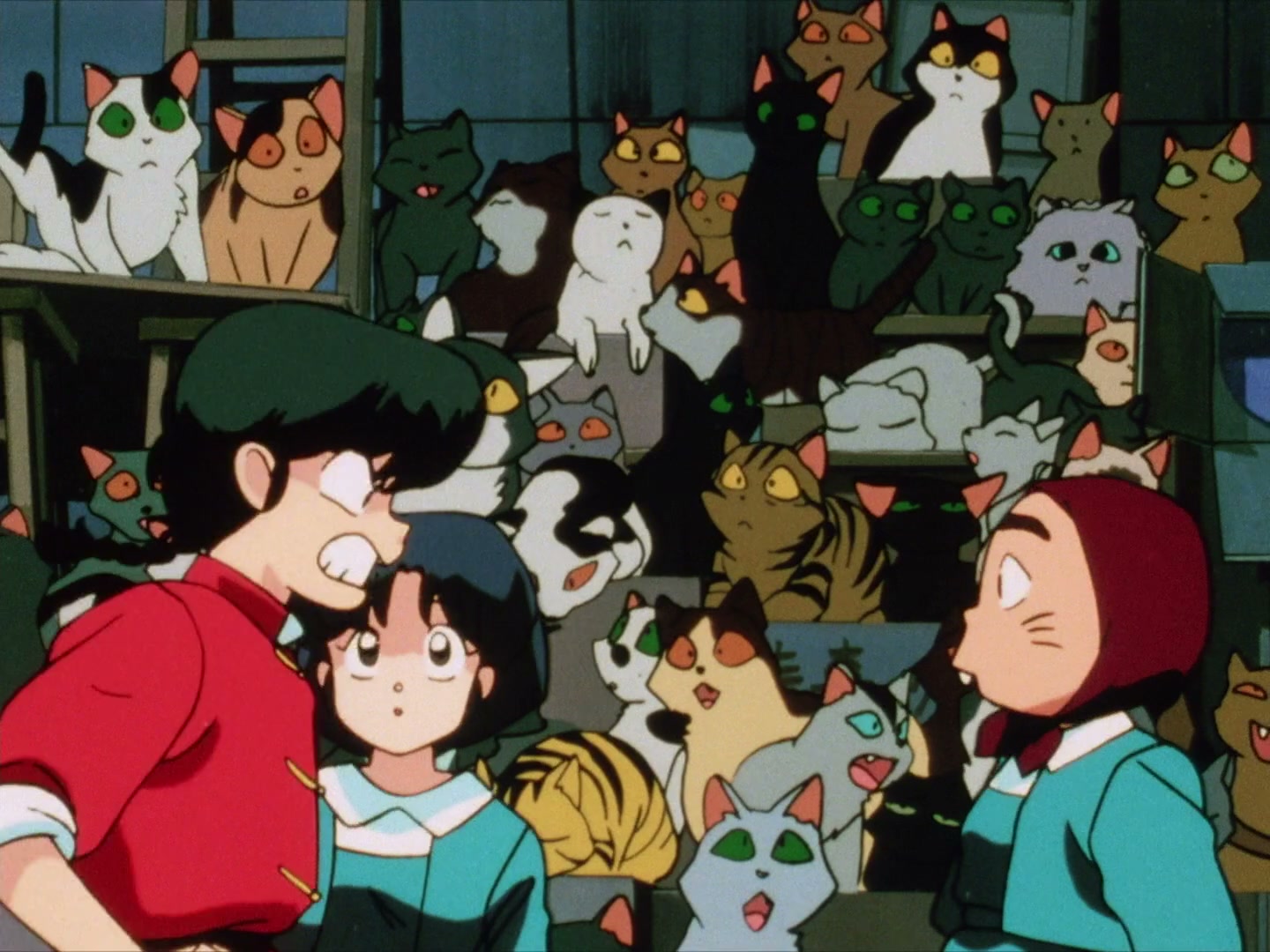 Ranma ½ Ep 23: You Really Do Hate Cats! @ 00:11:07