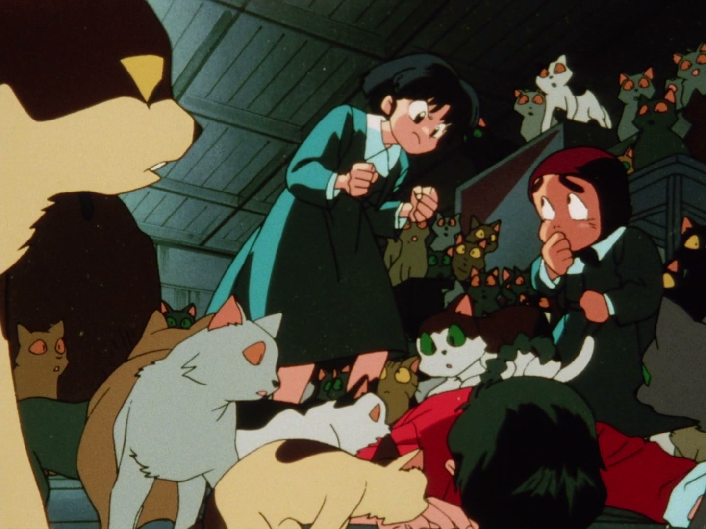 Ranma ½ Ep 23: You Really Do Hate Cats! @ 00:11:48
