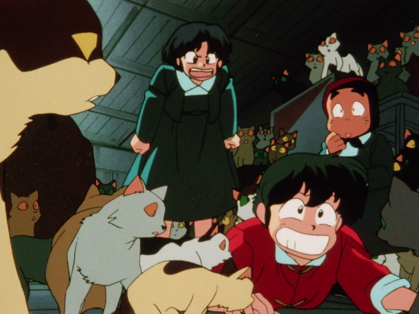 Ranma ½ Ep 23: You Really Do Hate Cats! @ 00:11:52
