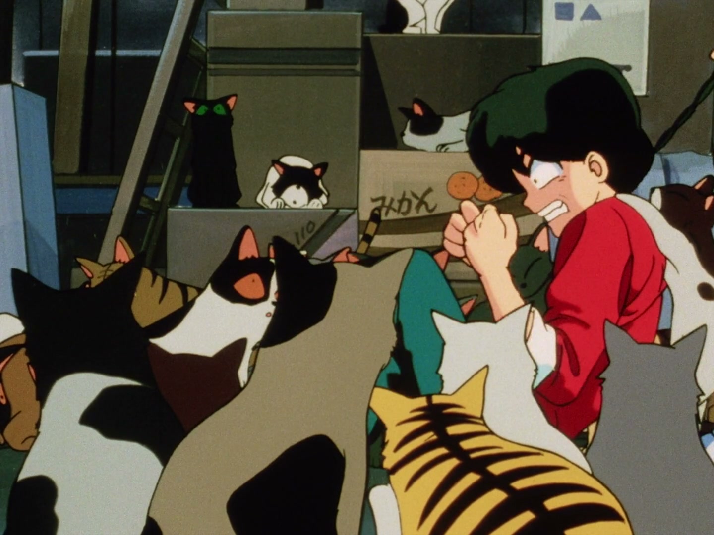 Ranma ½ Ep 23: You Really Do Hate Cats! @ 00:11:56