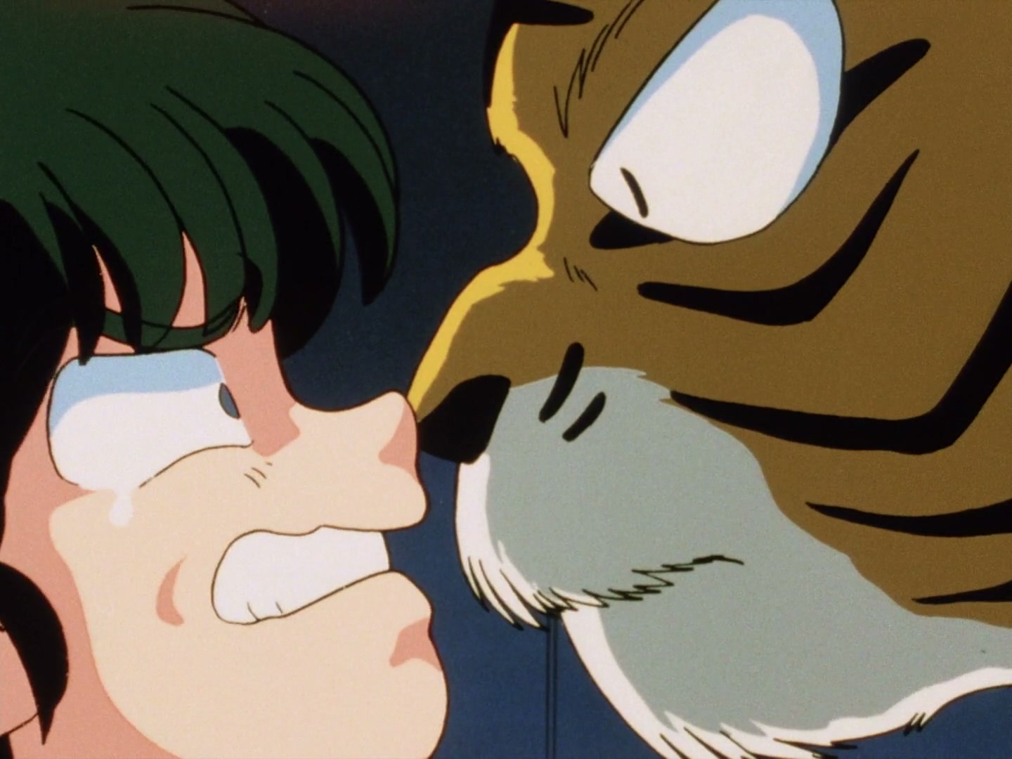 Ranma ½ Ep 23: You Really Do Hate Cats! @ 00:13:22