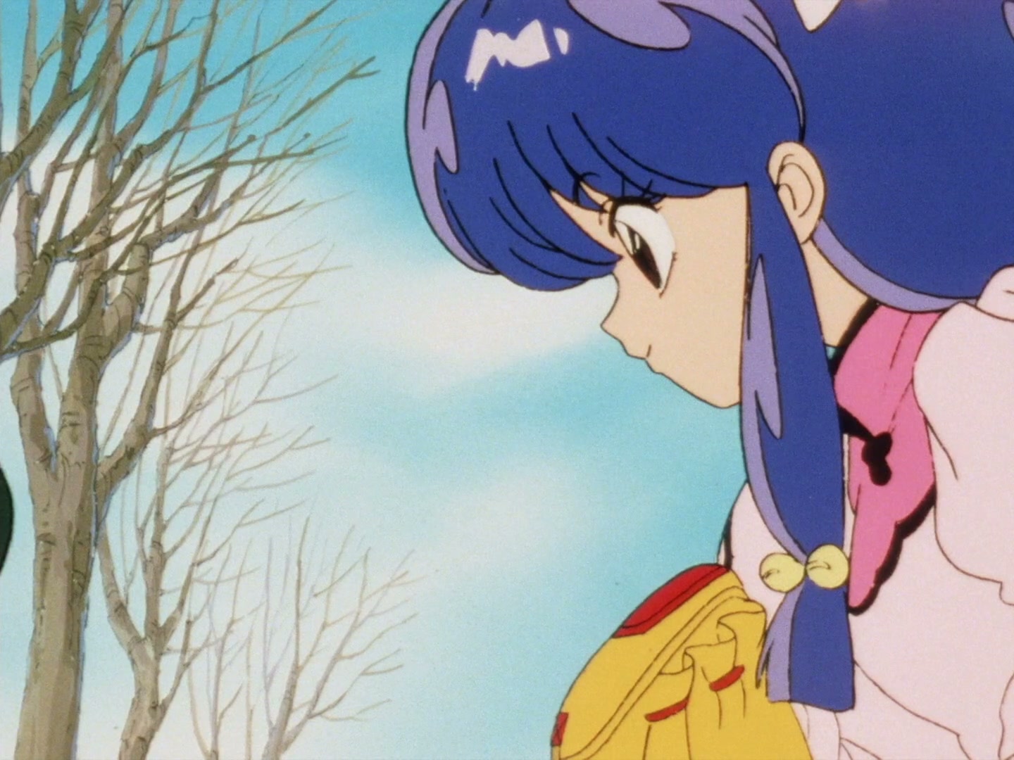 Ranma ½ Ep 28: Danger at the Tendo Dojo! @ 00:10:40