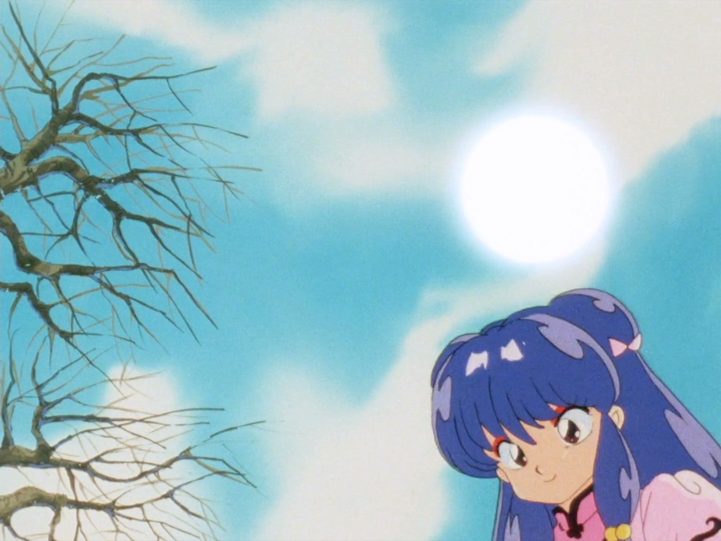 Ranma ½ Ep 28: Danger at the Tendo Dojo! @ 00:11:17