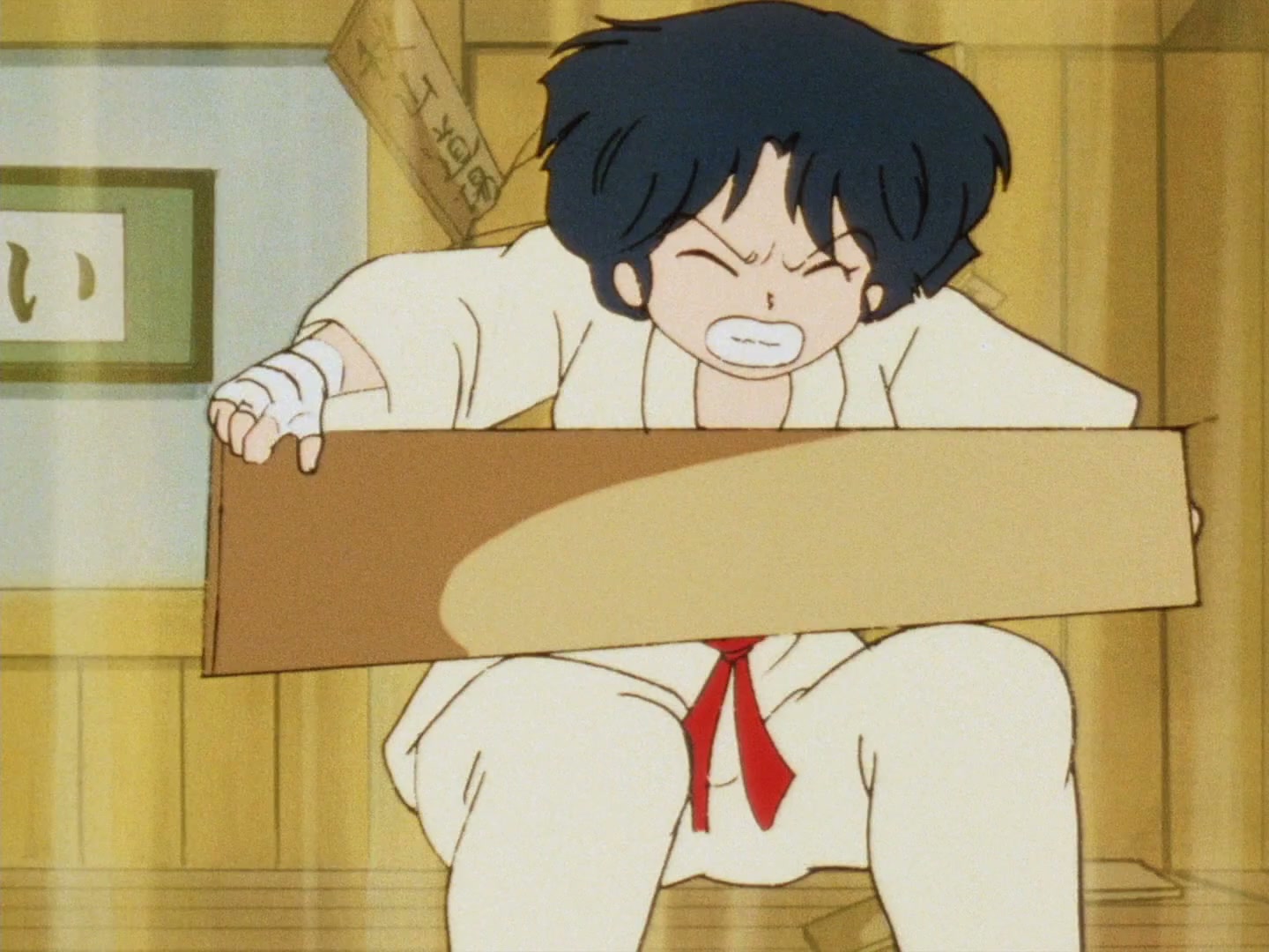 Ranma ½ Ep 28: Danger at the Tendo Dojo! @ 00:17:23