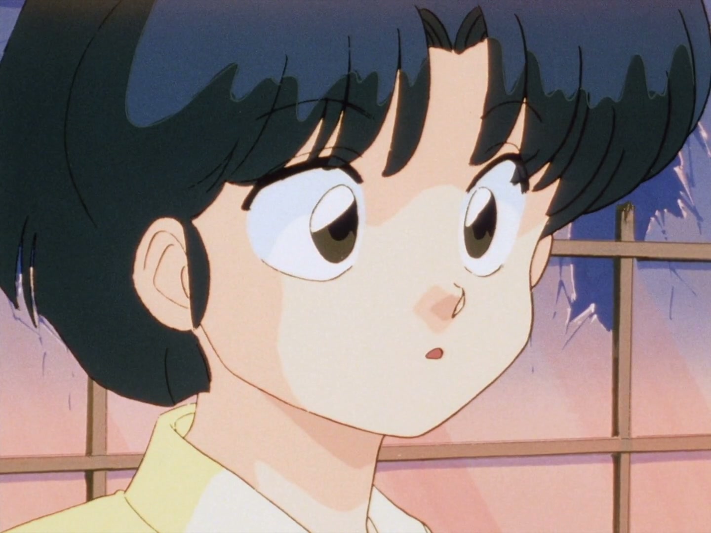 Ranma ½ Ep 28: Danger at the Tendo Dojo! @ 00:19:22