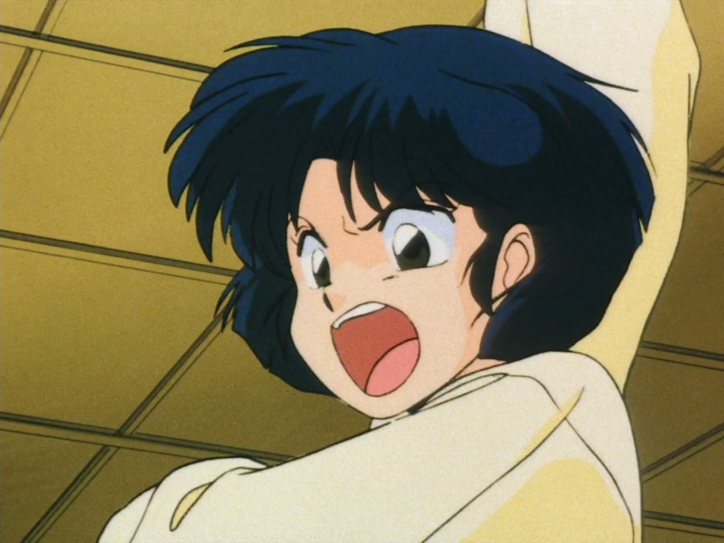 E030 · The Breaking Point!? Ryoga's Great Revenge screencaps