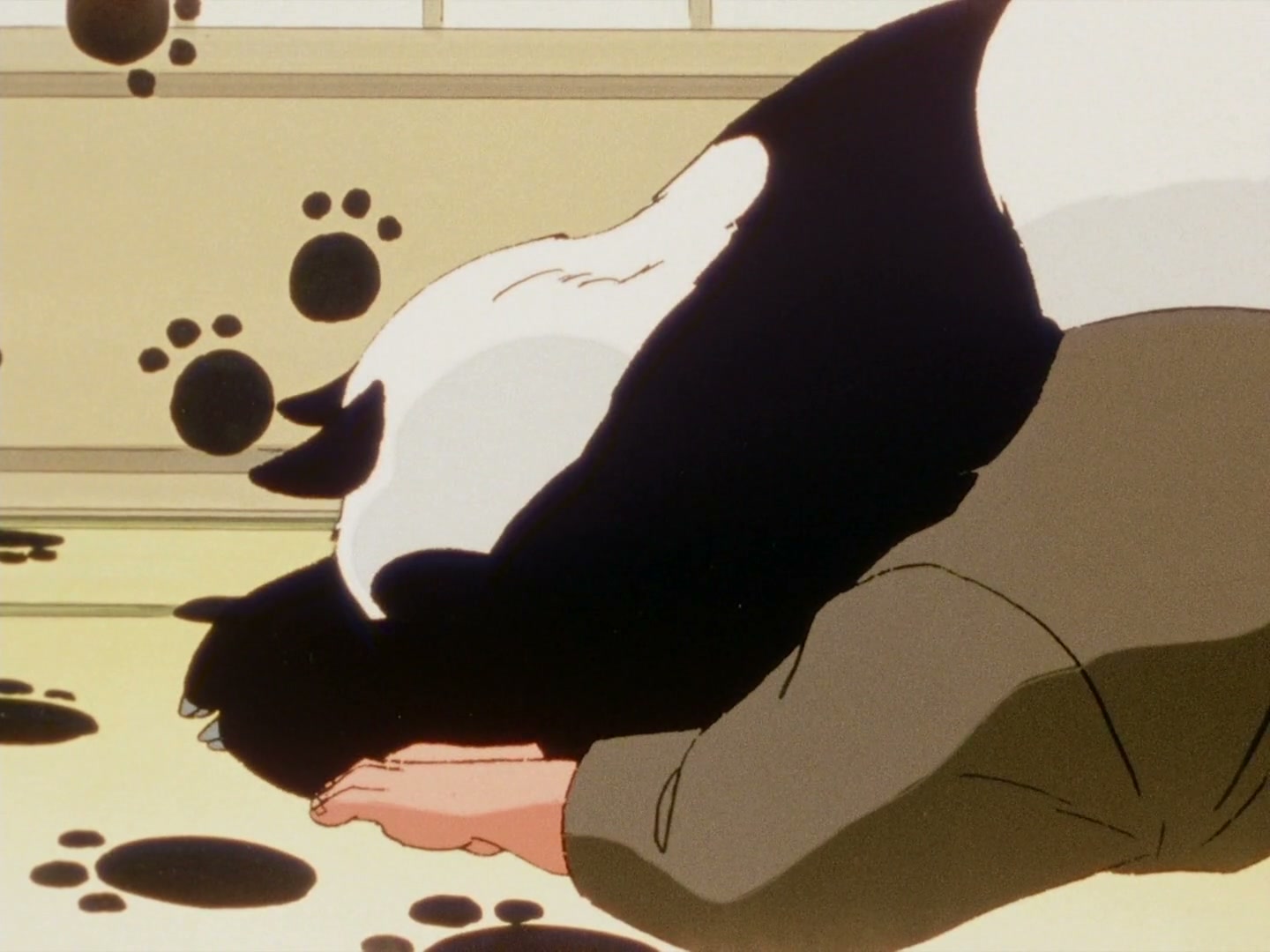 Ranma ½ Ep 38: SOS! The Wrath of Happosai @ 00:09:08