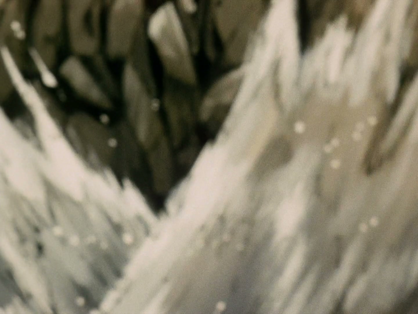 Ranma ½ Ep 41: Ranma Gains Yet Another Suitor @ 00:17:03