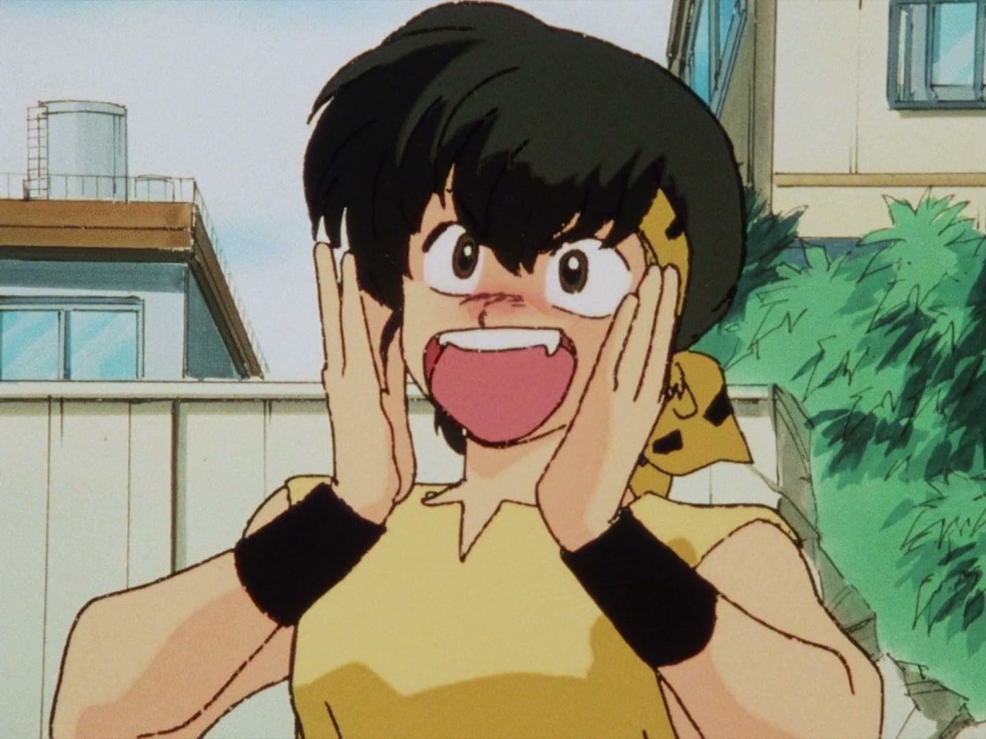 Ranma ½ Ep 61: Ryoga's Miracle Cure! Hand Over That Soap @ 00:08:04