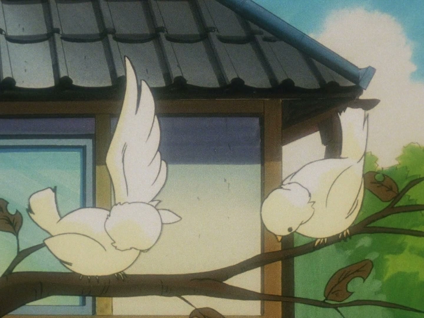 Ranma ½ Ep 74: A Formidable New Disciple Appears @ 00:19:35